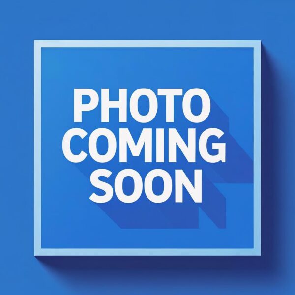 PRESSA PIEGATRICE "BAYKAL" 90TON